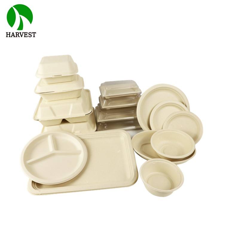 Eco-Friendly Bamboo Pulp Clamshell Takeaway Containers 6-10 Inch