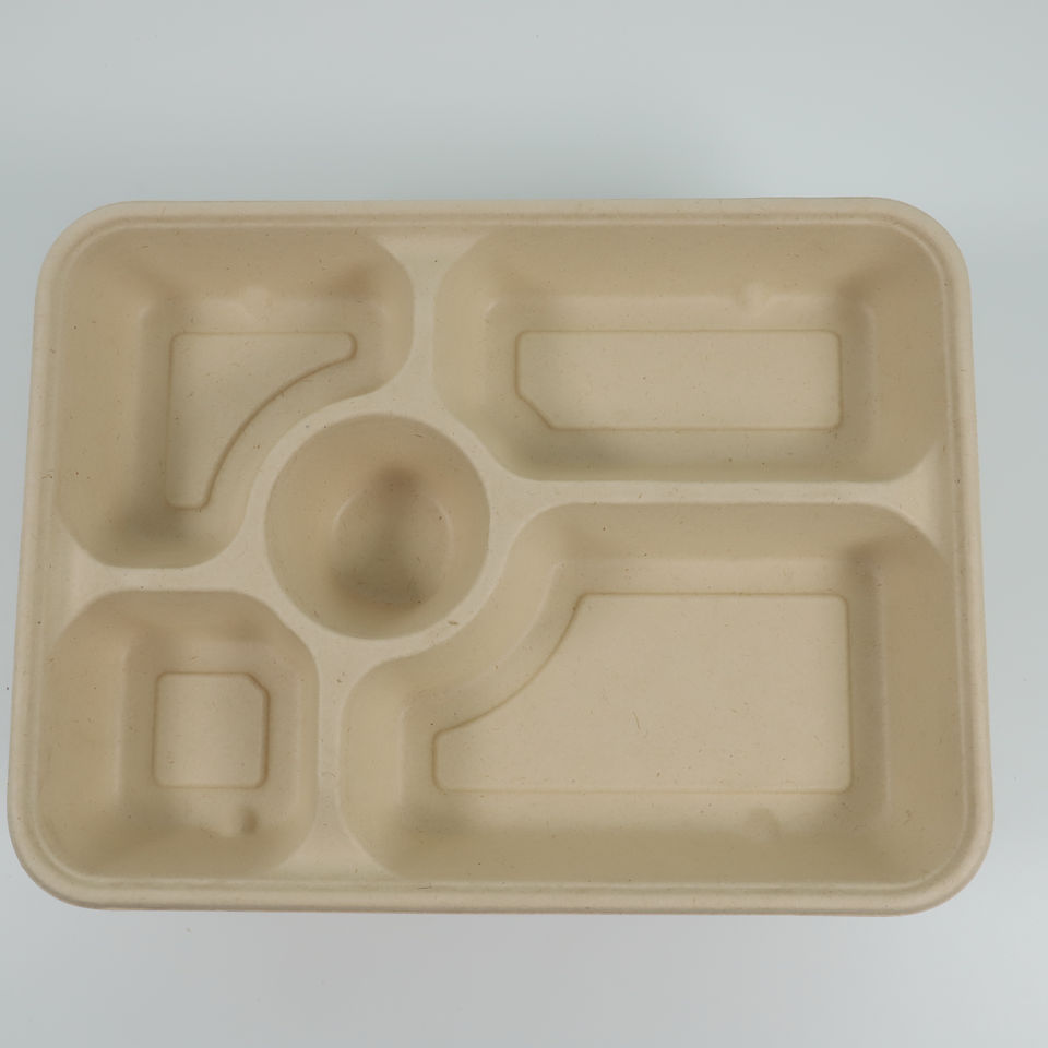 Sugarcane Pulp Trays - Eco-Friendly Biodegradable Packaging