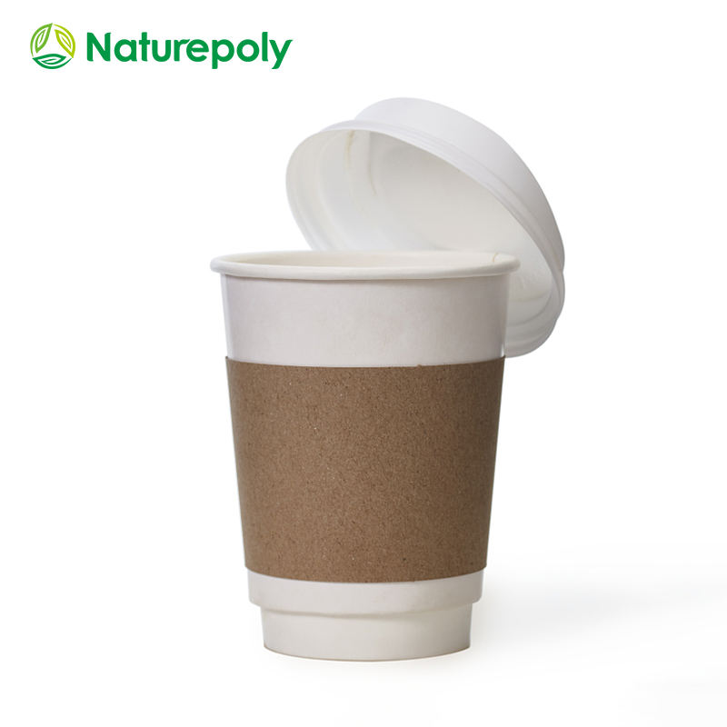 Custom PLA Coated Disposable Coffee Cups – Eco-Friendly Hot Drink Cups (8oz, 12oz, 16oz)