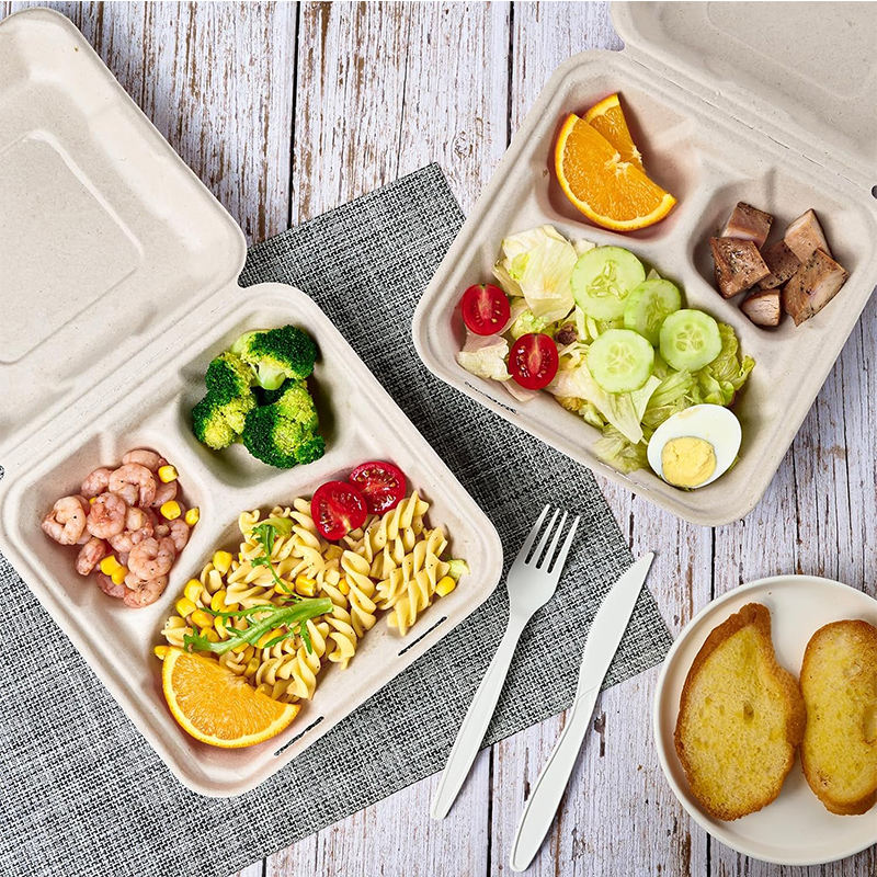 Biodegradable Sugarcane Bagasse Clamshell 8x8.5