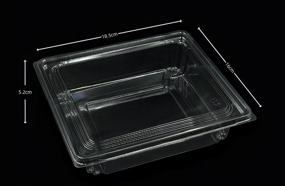 Disposable PET Salad Box - Clear Biodegradable Food Container