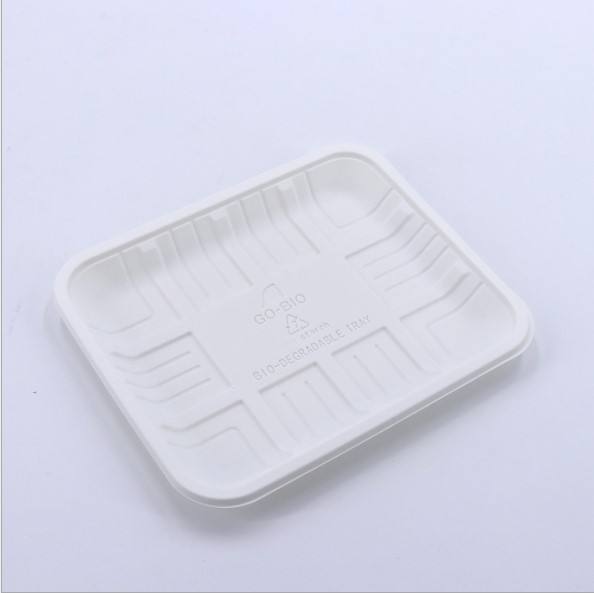 Eco-Friendly Biodegradable Corn Starch Plates | Compostable Food Trays