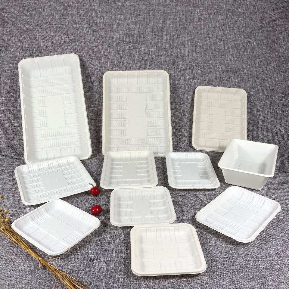 Eco-Friendly Disposable Cornstarch Serving Trays, Biodegradable Dumpling Plates for Food Preservation