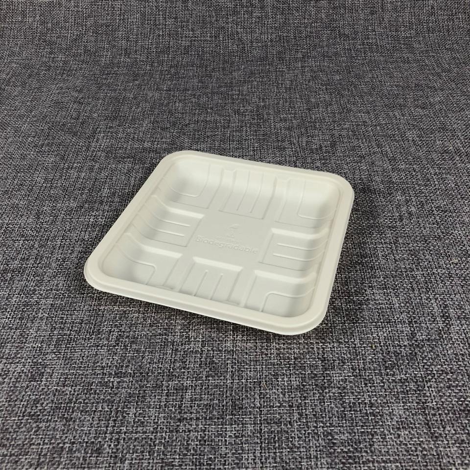 Eco-Friendly Disposable Cornstarch Serving Trays, Biodegradable Dumpling Plates for Food Preservation