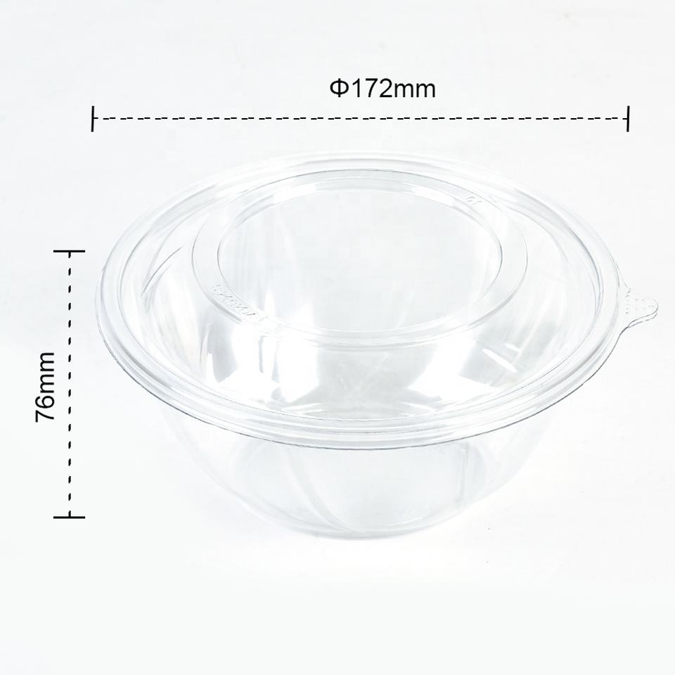Eco-Friendly Disposable PET Salad Bowls | 8-32 Oz Clear Containers