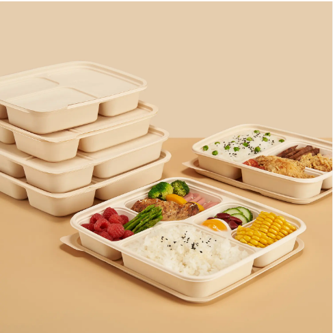 5-Compartment Cornstarch Food Container, BPA-Free, Microwave-Safe Takeaway Lunch Box