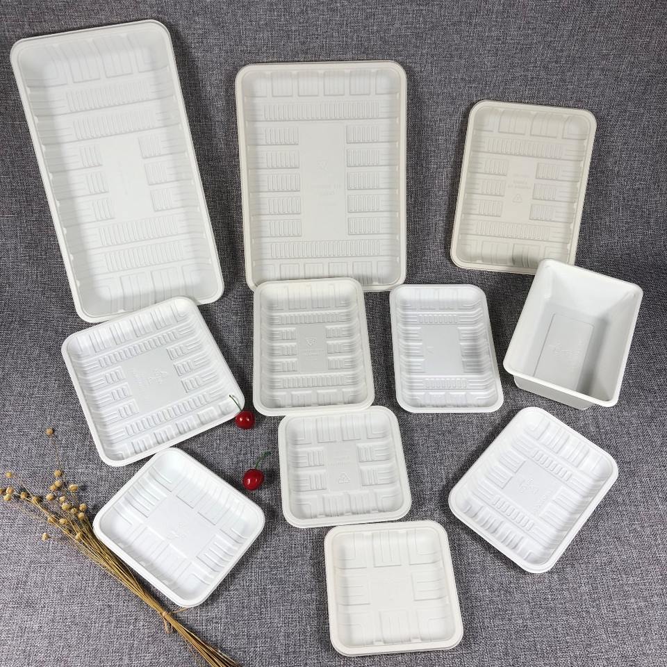Eco-Friendly Disposable Cornstarch Serving Trays, Biodegradable Dumpling Plates for Food Preservation