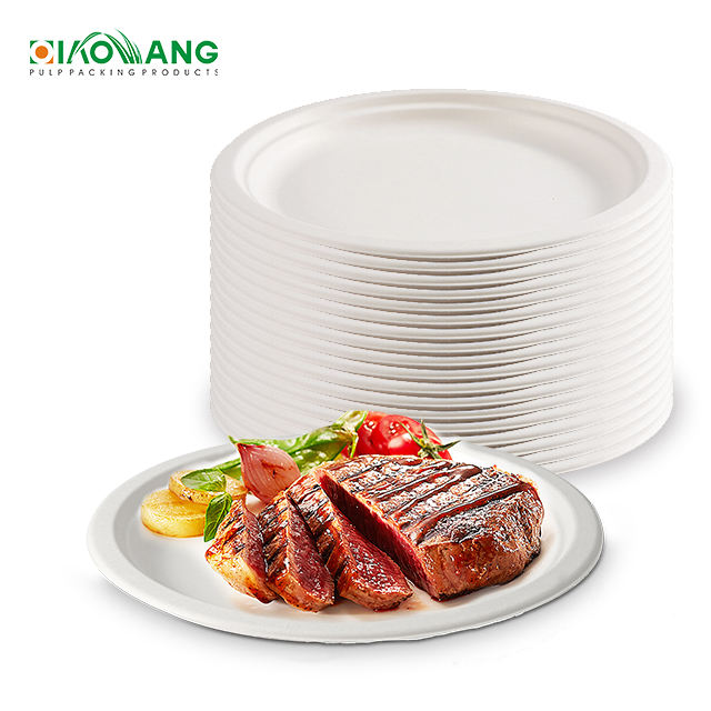Eco-Friendly Biodegradable Bagasse & Cornstarch Tableware Set for Camping