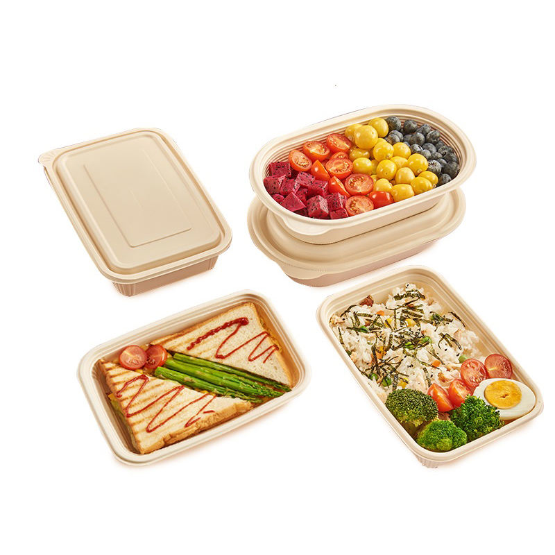 5-Compartment Cornstarch Food Container, BPA-Free, Microwave-Safe Takeaway Lunch Box