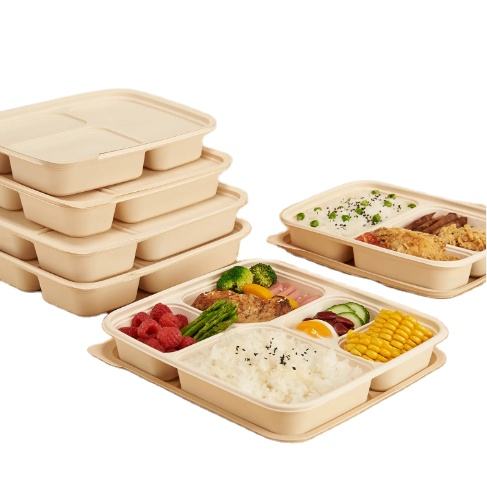 5-Compartment Cornstarch Food Container, BPA-Free, Microwave-Safe Takeaway Lunch Box
