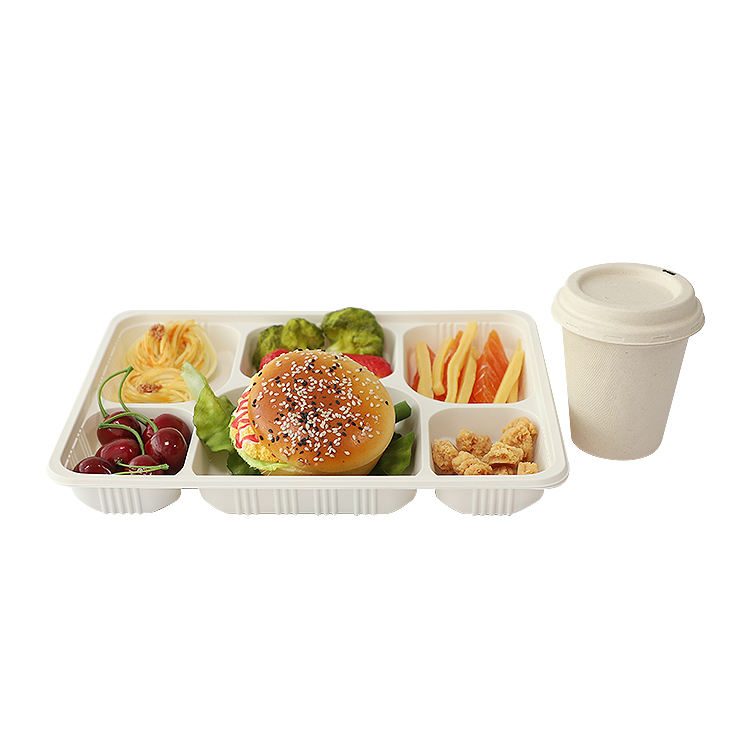 Compostable 6-Compartment Cornstarch Food Tray - Eco-Friendly Disposable Plate