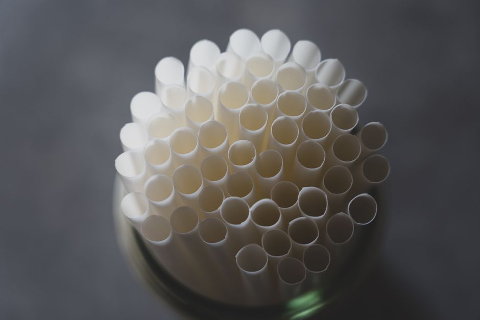 Chinese vs Indian Bagasse Suppliers: Quality, Price and Lead Time
