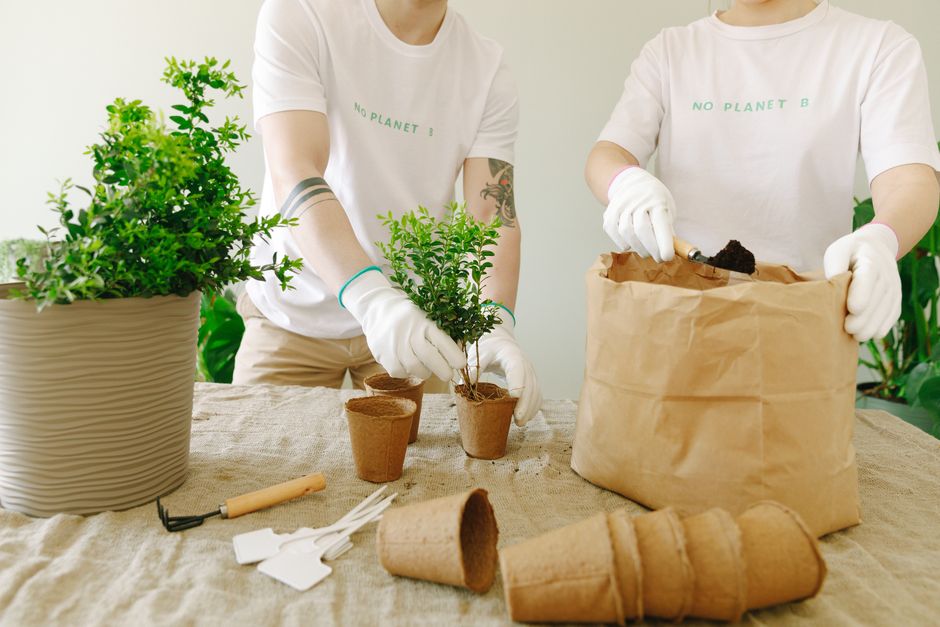 Why microwave-safe biodegradable containers matter for meal prep services