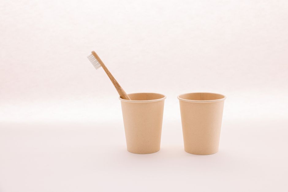 Bagasse vs Molded Fiber: Real Cost Breakdown Per 10,000 Units
