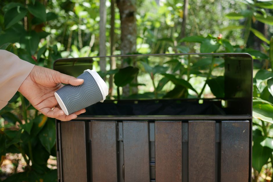 Bagasse vs Paper Plates: Which Is the Better Eco Choice for Your Business?