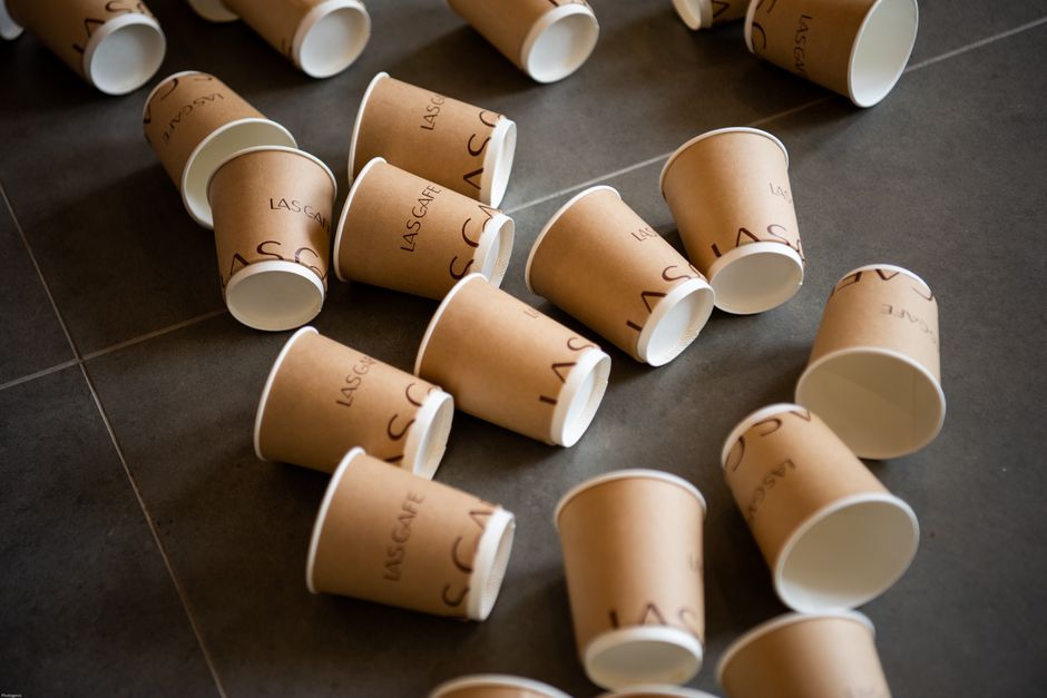 EU 2025 Single-Use Plastics Directive: Packaging Compliance Guide