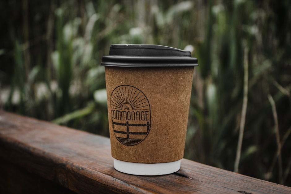 Home Compostable vs Biodegradable: Certification Loopholes to Avoid