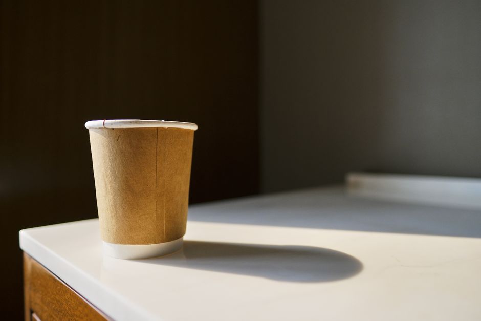 Sugarcane Bagasse vs Kraft Paper Bowls: Leak Test and Sourcing