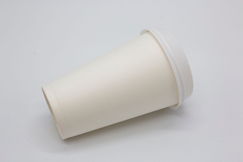 Compostable Takeout Packaging: Best Materials for Greasy Foods