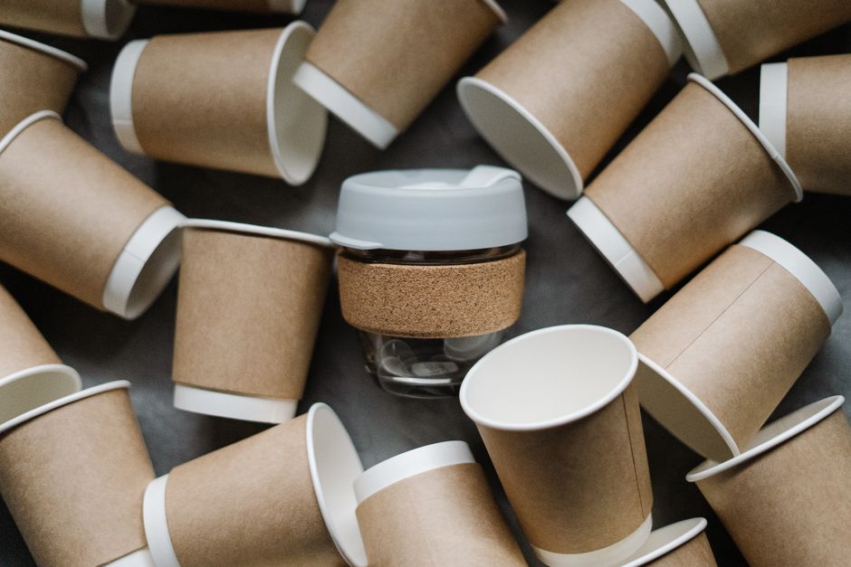 Why Compostable Packaging Is a Game-Changer for Salad Freshness